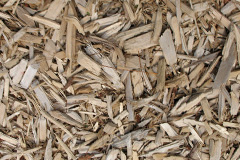 biomass boilers Lagavulin
