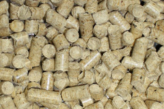 Lagavulin biomass boiler costs